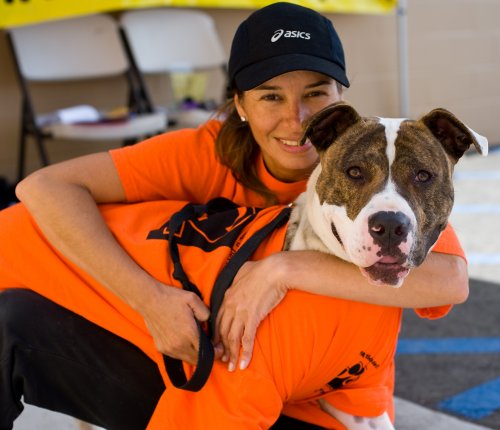 Orange County Humane Society - Pet Adoption in Huntington Beach, CA, US ::  PAWticipate (Volunteer Programs)