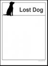 lost_dog_flyer.jpg